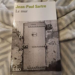 Livre : Le mur